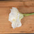 Classic White Amaryllis Flower – Everbloom Collection- Set of 3 Hill Interiors