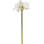 Classic White Amaryllis Flower – Everbloom Collection- Set of 3 Hill Interiors