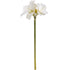 Classic White Amaryllis Flower – Everbloom Collection- Set of 3