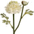 Green Ranunculus Spray – Everbloom Collection- Set of 3 Hill Interiors