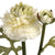 Green Ranunculus Spray – Everbloom Collection- Set of 3 Hill Interiors