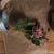 Dusty Pink Spray Rose Peony – Everbloom Collection- Set of 3 Hill Interiors
