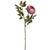 Dusty Pink Spray Rose Peony – Everbloom Collection- Set of 3 Hill Interiors
