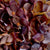 Classic Hydrangea – Everbloom Collection Exclusive Spaces