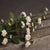 Cream Wild Meadow Rose – Everbloom Collection- Set of 3 Hill Interiors