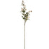 Cream Wild Meadow Rose – Everbloom Collection- Set of 3