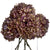 Classic Hydrangea – Everbloom Collection Exclusive Spaces