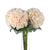 Classic Hydrangea – Everbloom Collection Exclusive Spaces