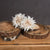 Café Au Lait Dahlia – Everbloom Collection- Set of 3 Hill Interiors