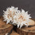 Café Au Lait Dahlia – Everbloom Collection- Set of 3 Hill Interiors