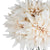 Café Au Lait Dahlia – Everbloom Collection- Set of 3 Hill Interiors