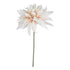 Café Au Lait Dahlia – Everbloom Collection- Set of 3