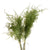 Asparagus Fern Bunch – Everbloom Collection- Set of 3 Hill Interiors
