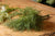 Asparagus Fern Bunch – Everbloom Collection- Set of 3 Hill Interiors