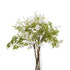 Italian White Bellflower – Everbloom Collection- Set of 2