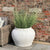 Thari Planter – Set of 2 Exclusive Spaces