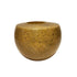 Amber Coconut Vase